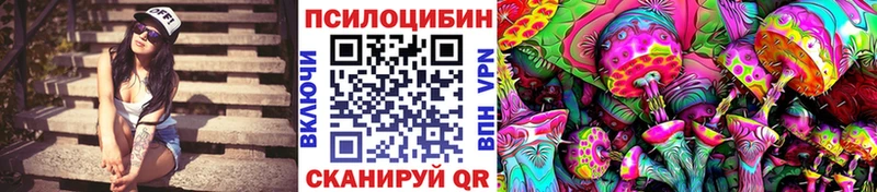 blacksprut ссылки  что такое наркотик  Зерноград  Псилоцибиновые грибы прущие грибы 