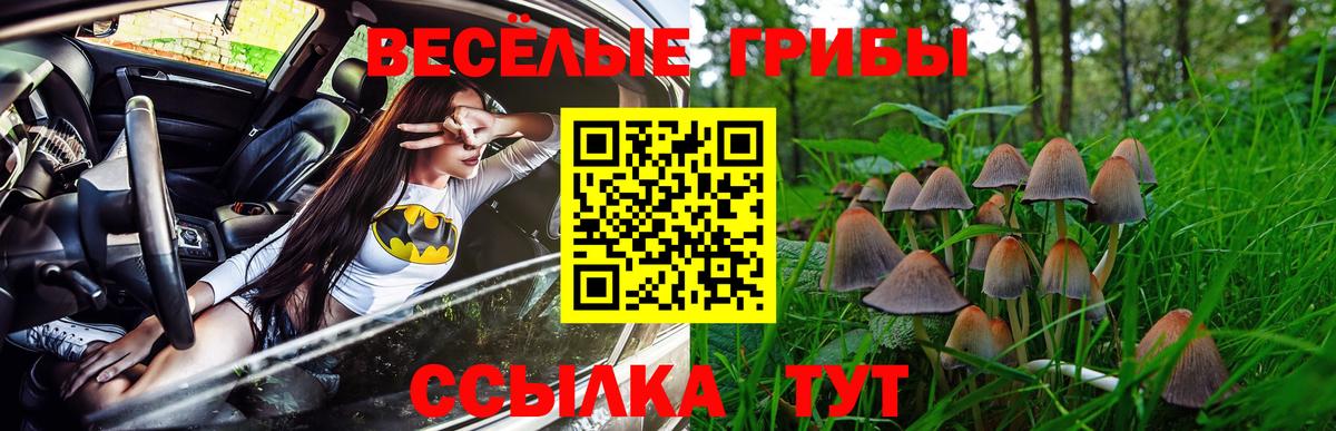 Гашиш Зерноград